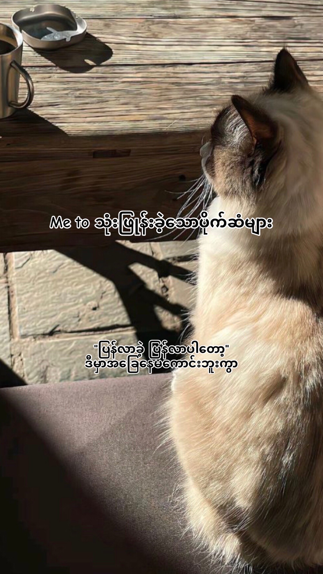 @𝐤𝐢𝐭𝐭𝐲♡