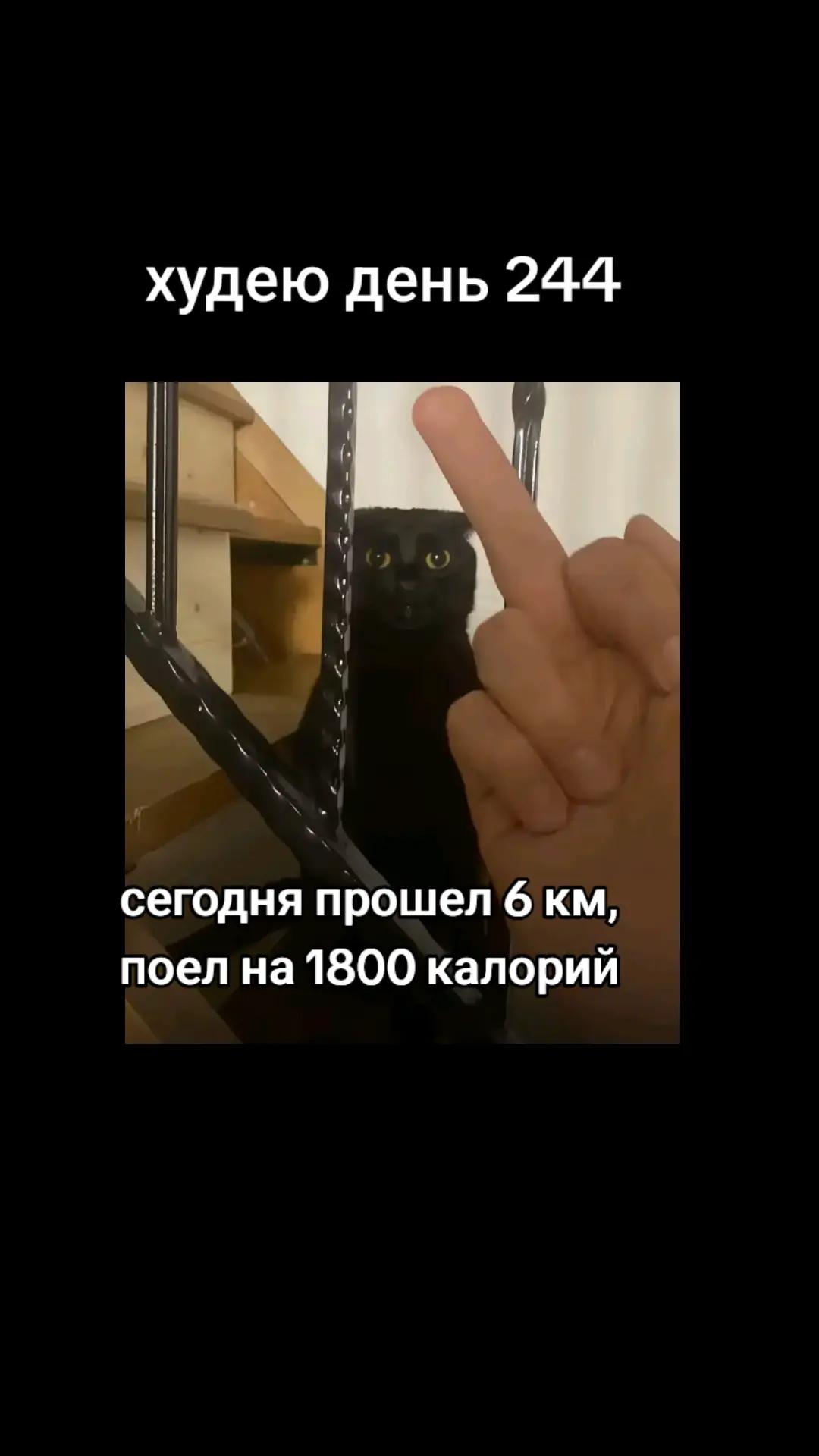 @ХУДЕЮ CUT