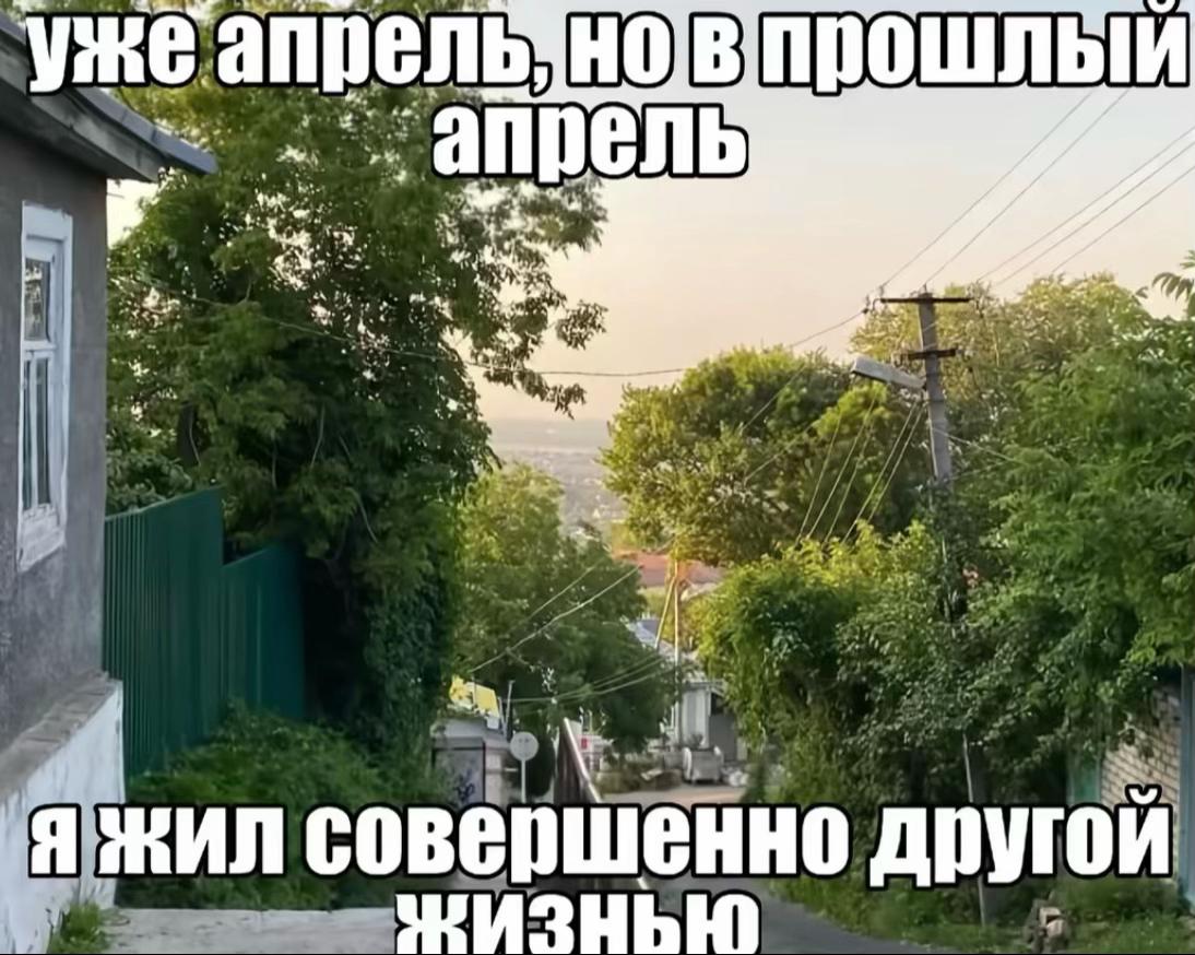 @Ёжик