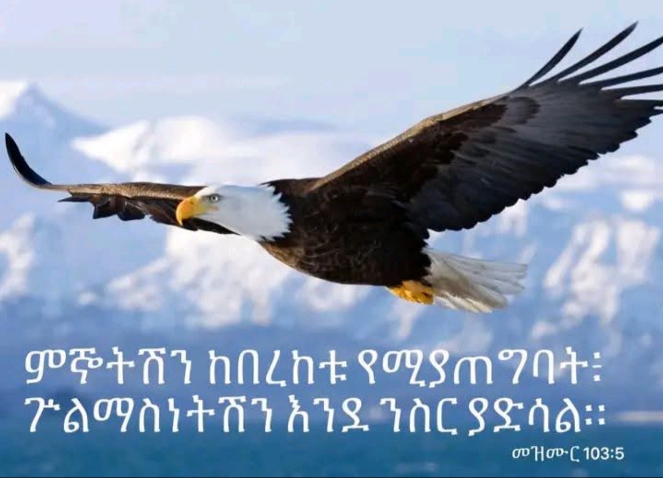 @rahel3HA