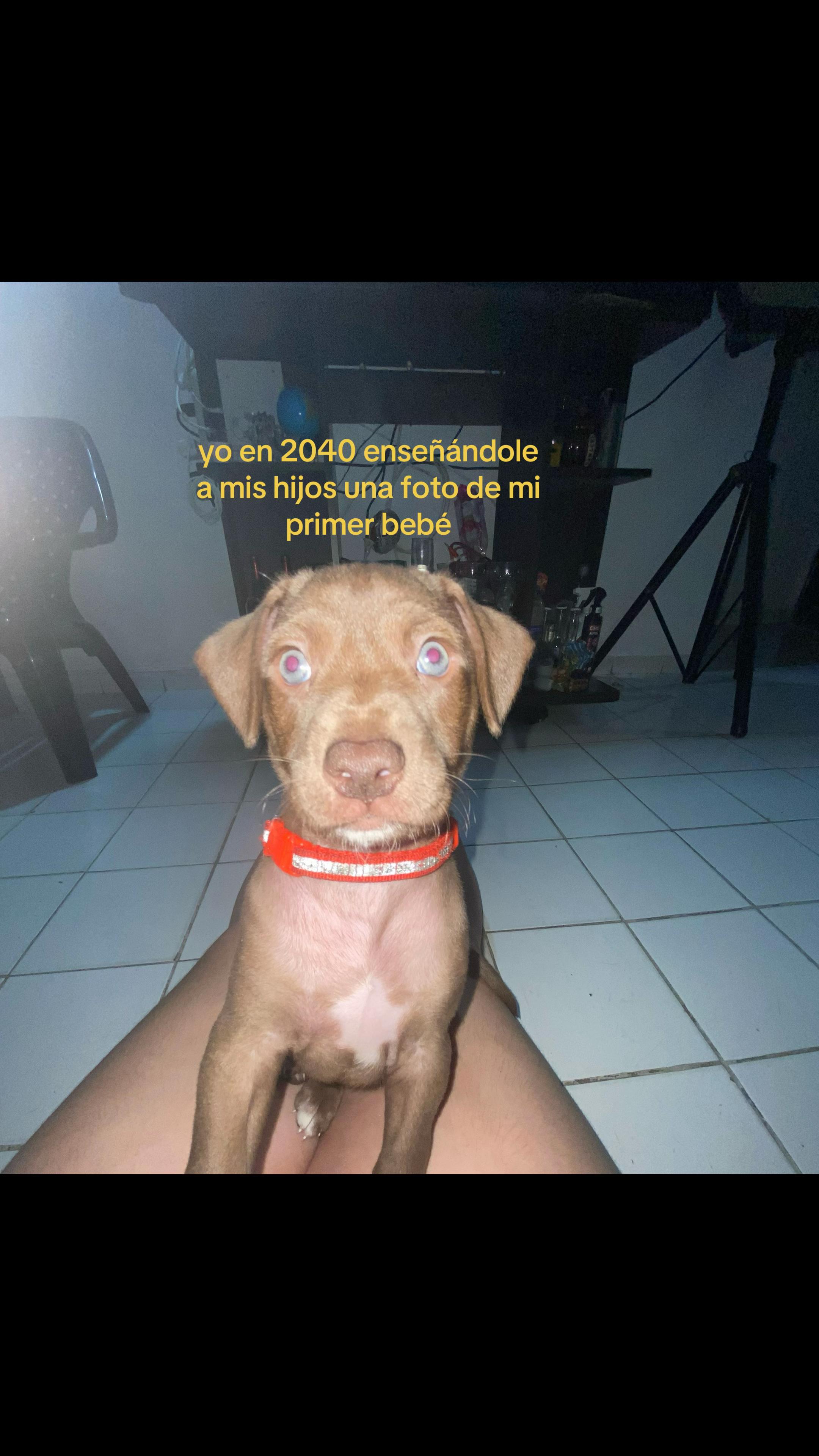 @๐ธ๐๐๐๐๐๐๐ผ