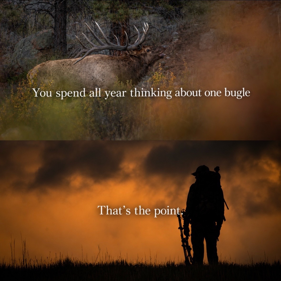 @Wild Born Outdoors - Saxton