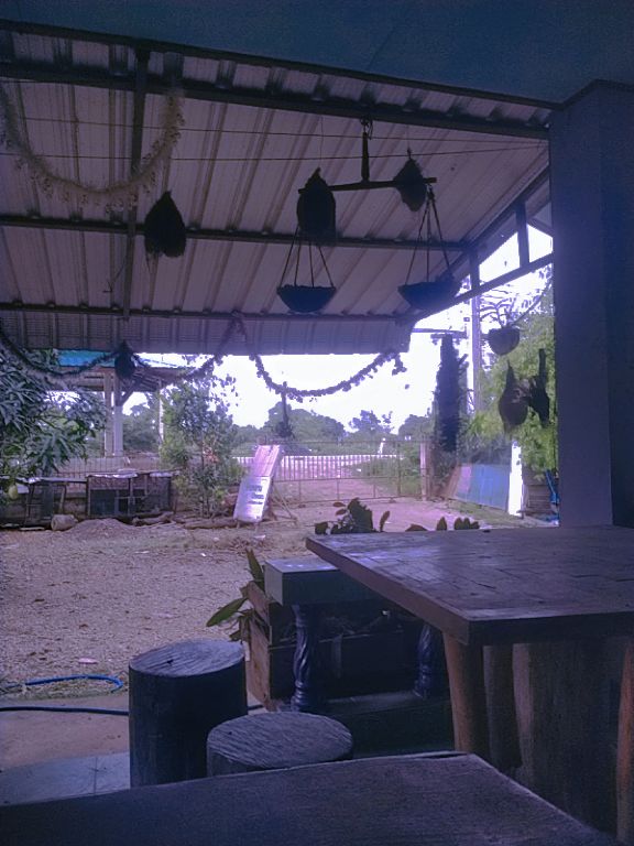 @ข้าวหอมไง