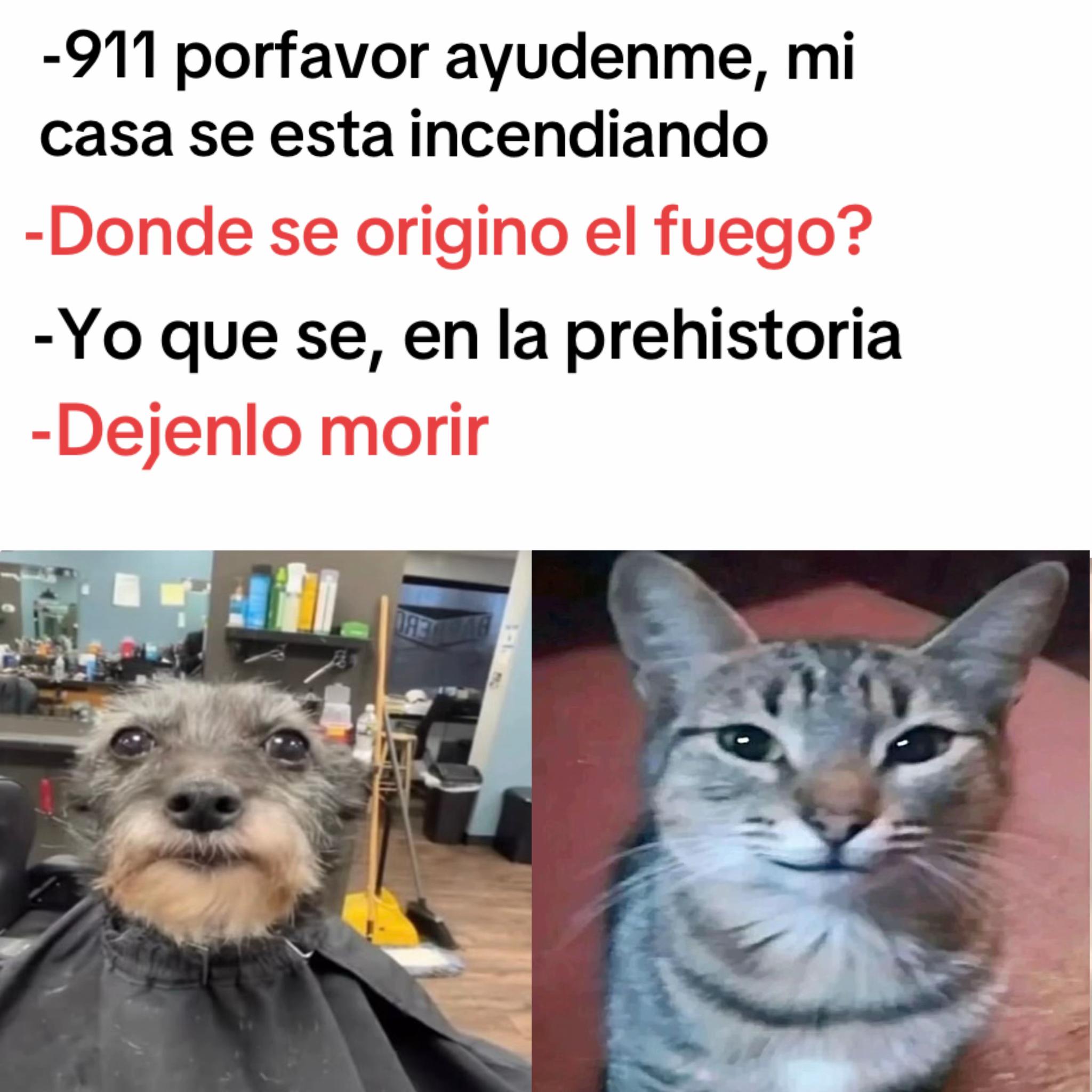 @momazosnegromarronjeje