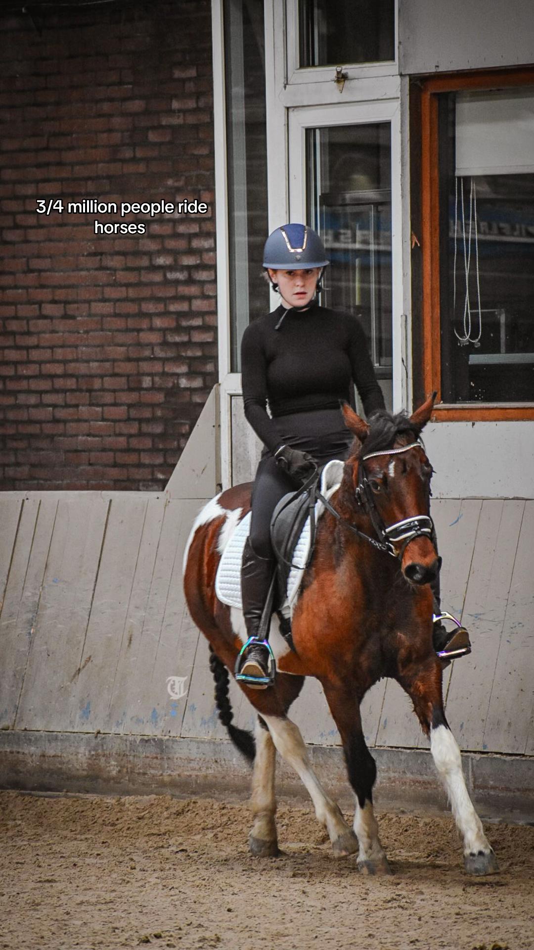 @idh_horses