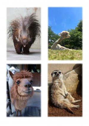@Ichikawa City Zoo