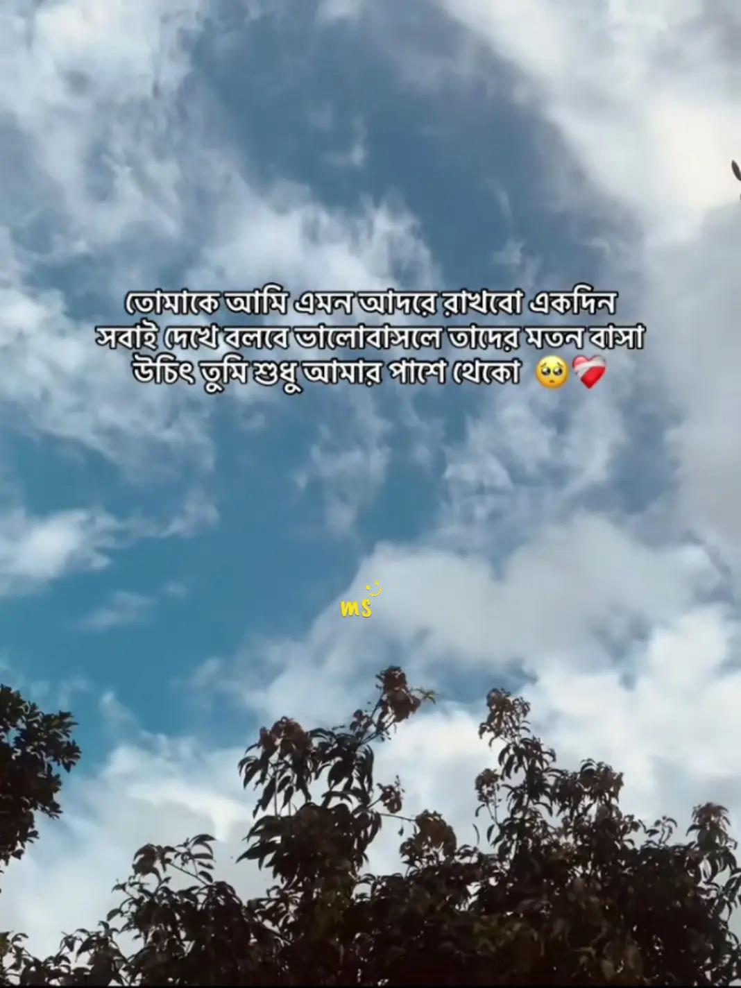 @মিথ্যা হাসির অপূর্ব মায়াツ🌿