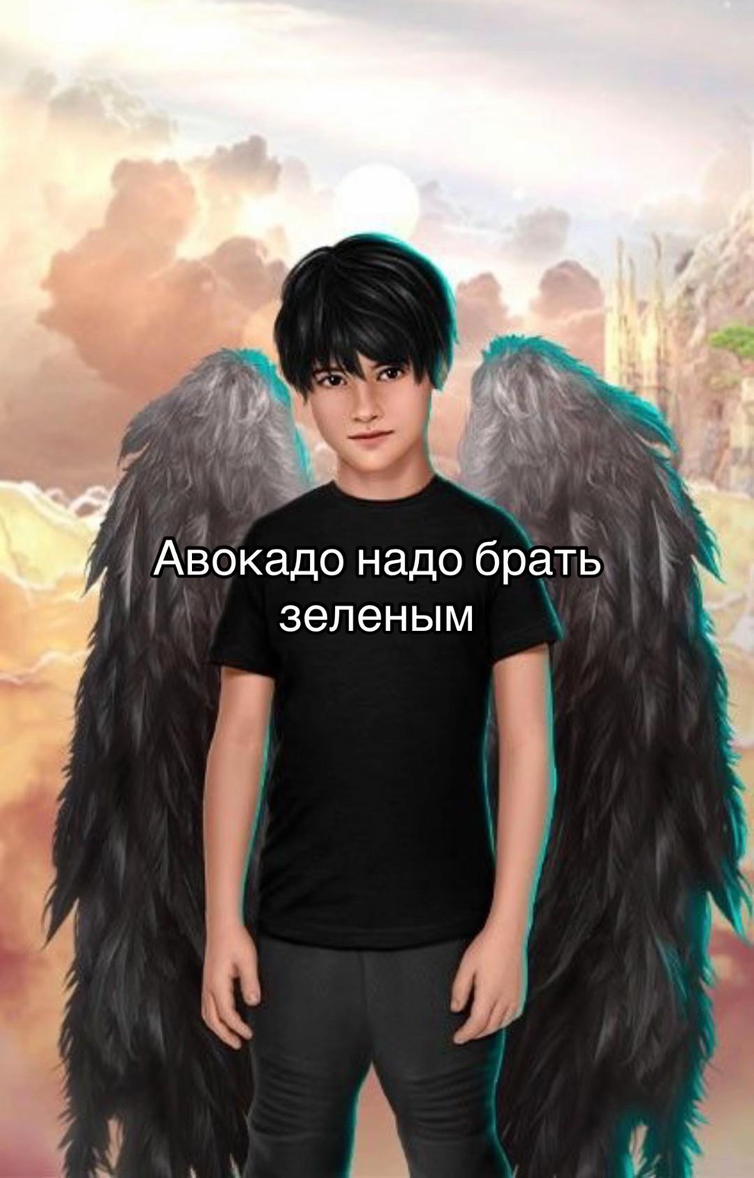 @кошка Шейда