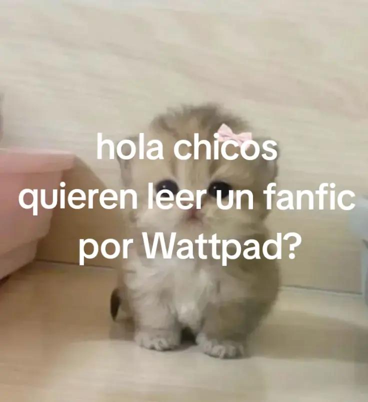 @kataArianwen