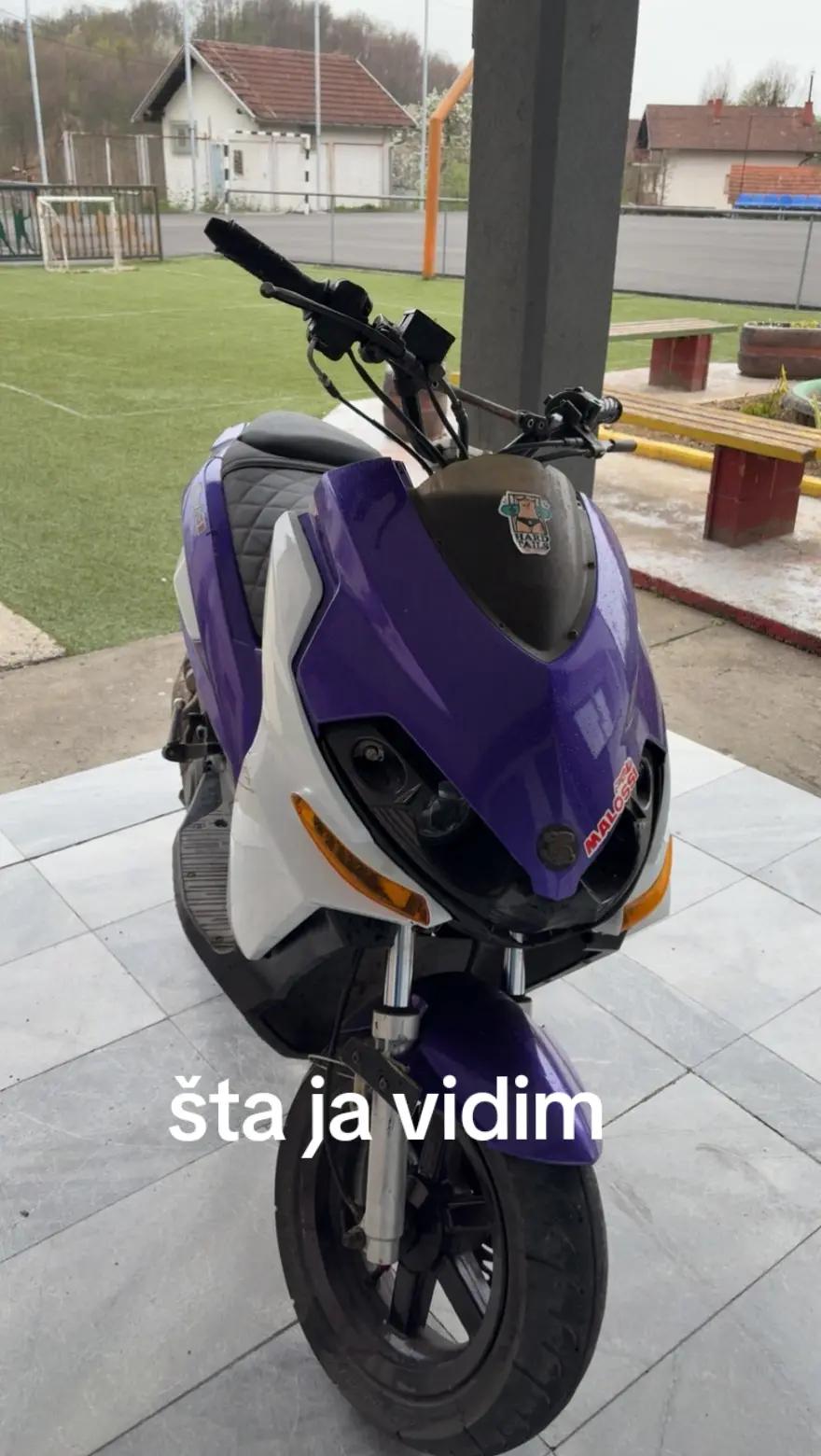 @Neso🇧🇷🤙