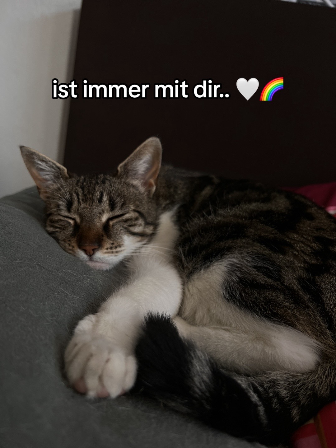@Emelie
