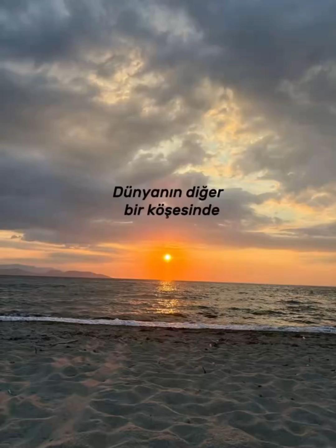 @Nazli
