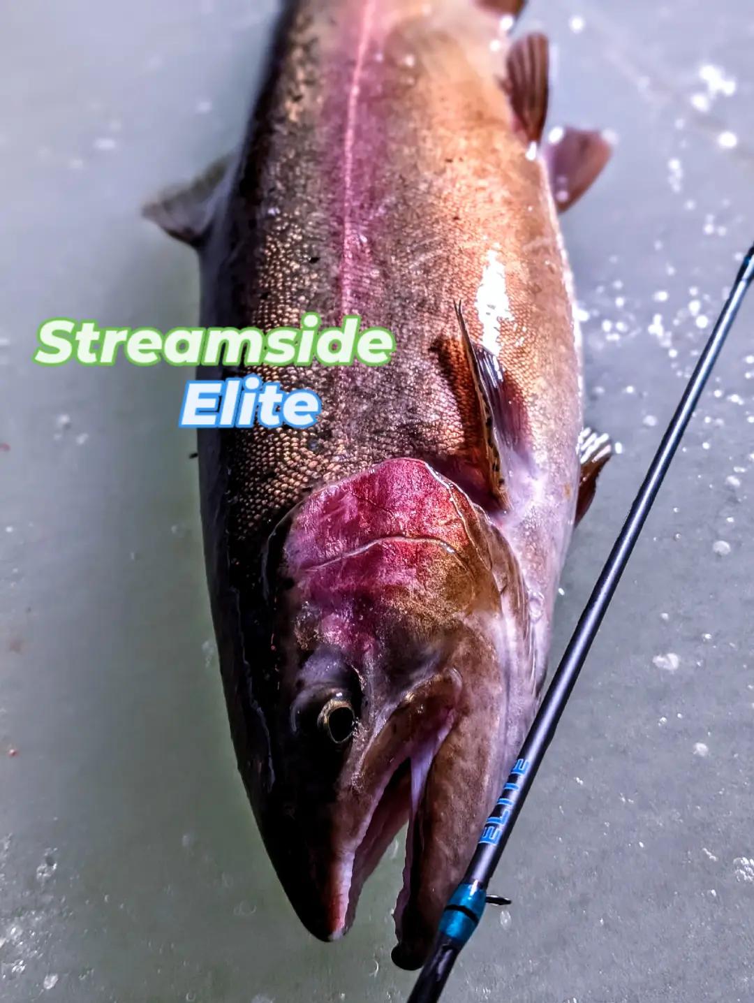 @rippinlips0