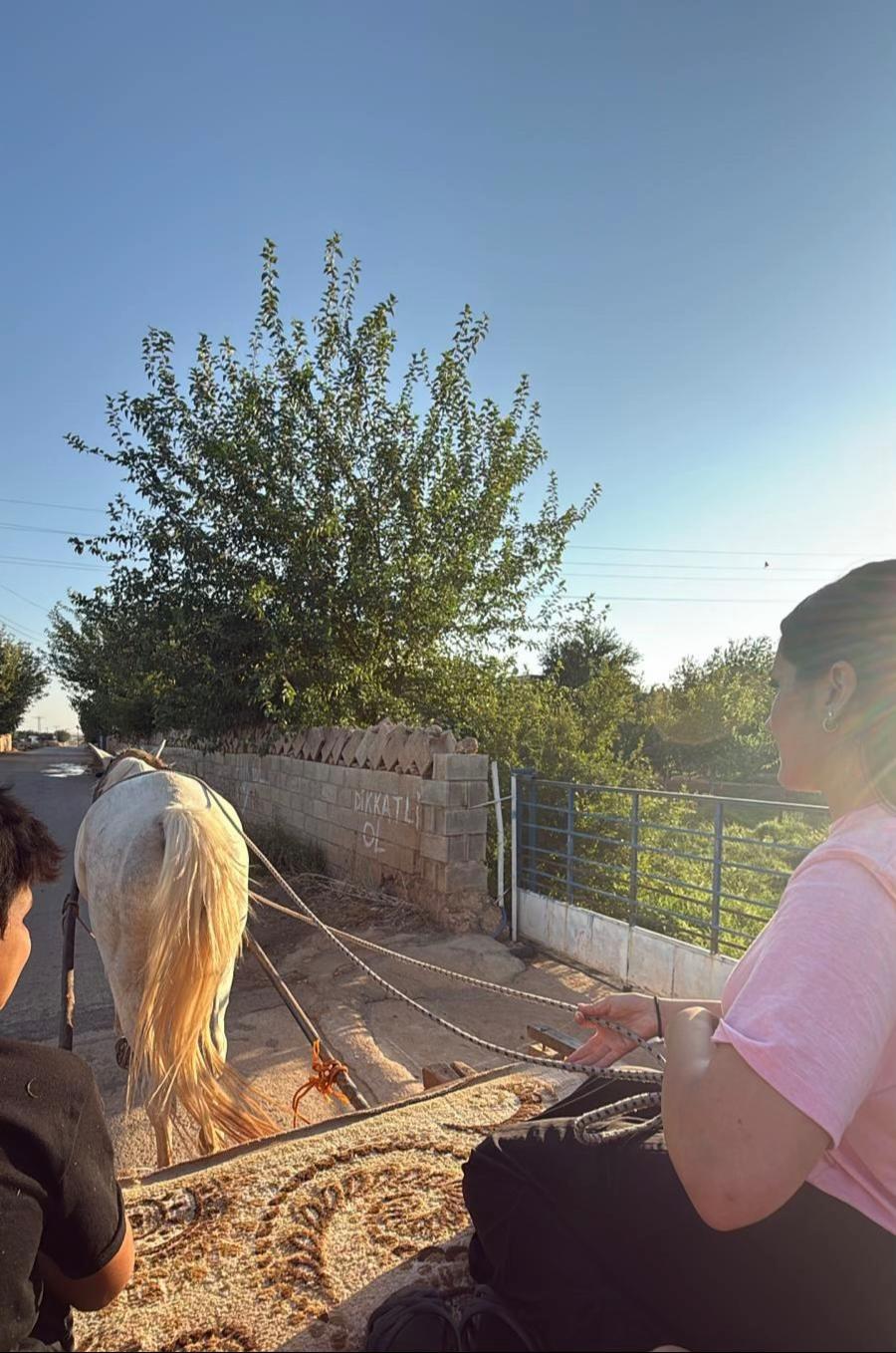 @S&uuml;meye