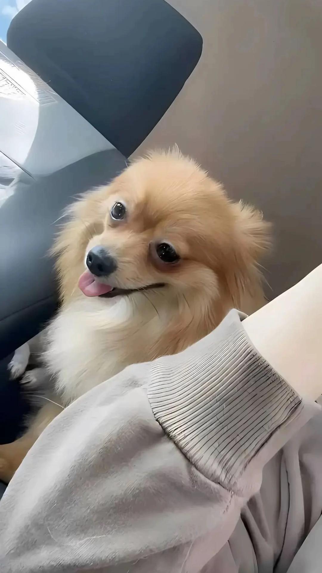 @𝐖𝐮𝐞𝐫𝐢𝐭𝐚 🐰