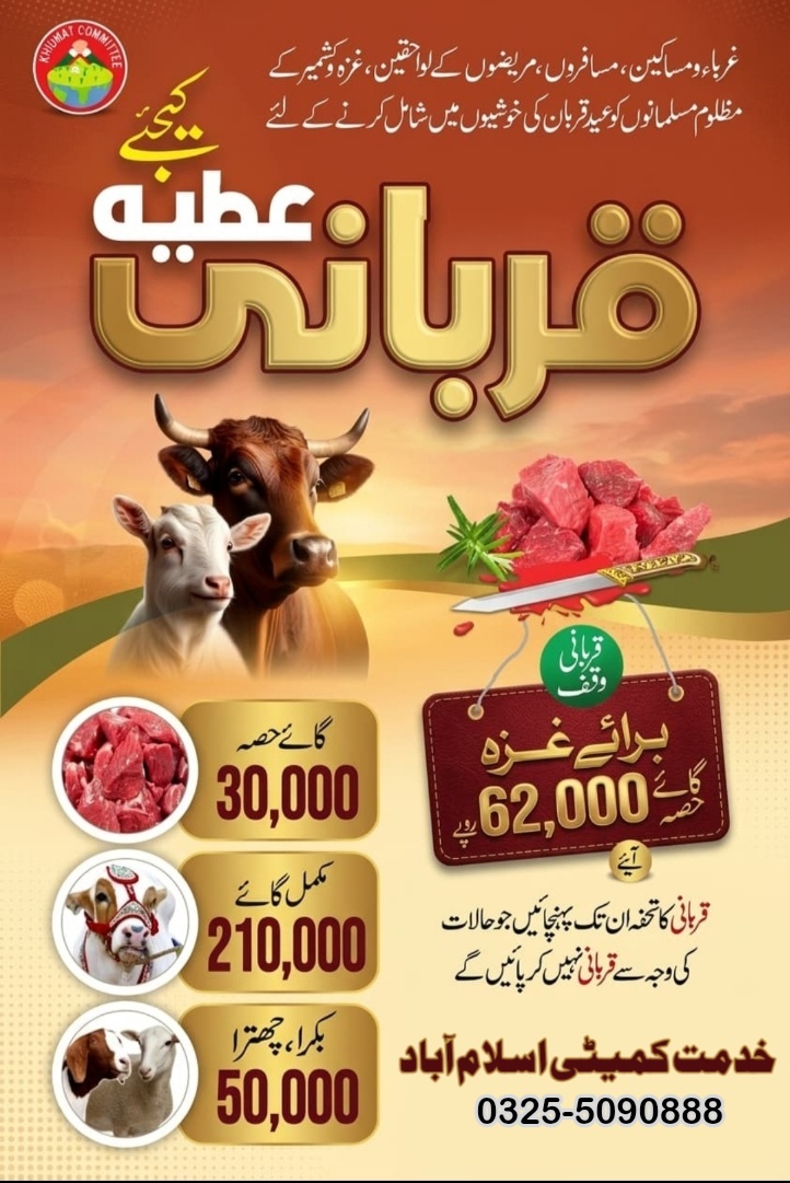 @Ameer Hamza Asim