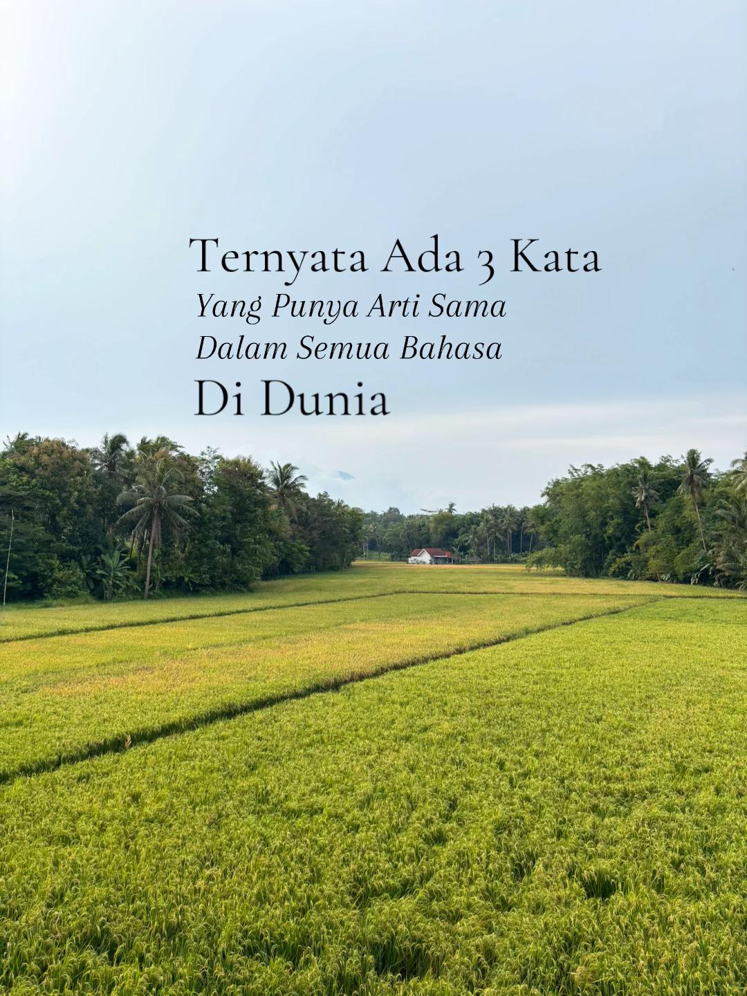 @NUNUNG/NANANG