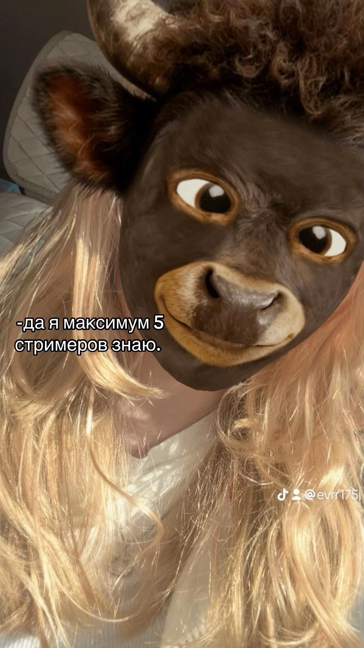@evrr.