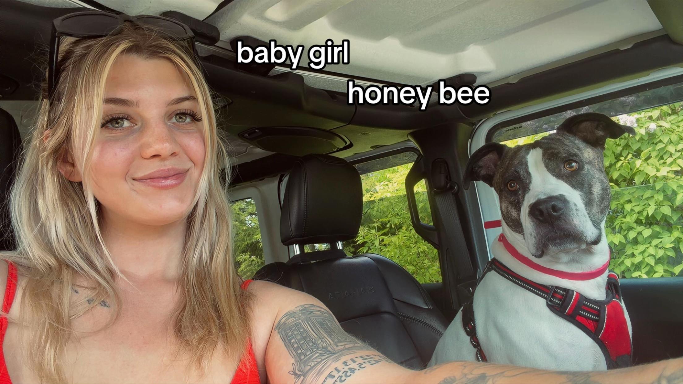 @nic