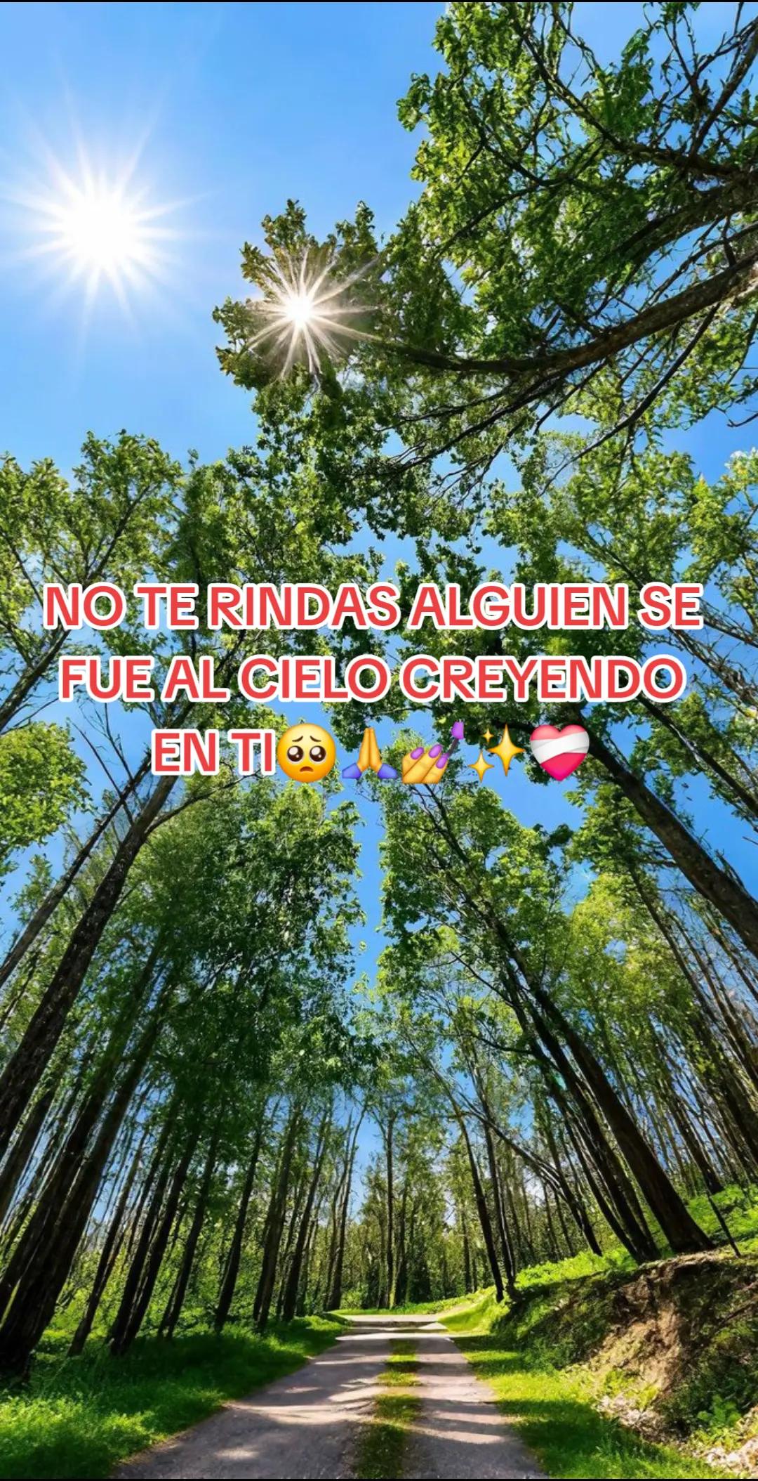 @✨️🫀la Güera🕊🍓