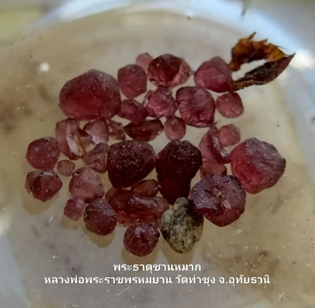@ชมรมรักษ์พระบรมธาตุฯ