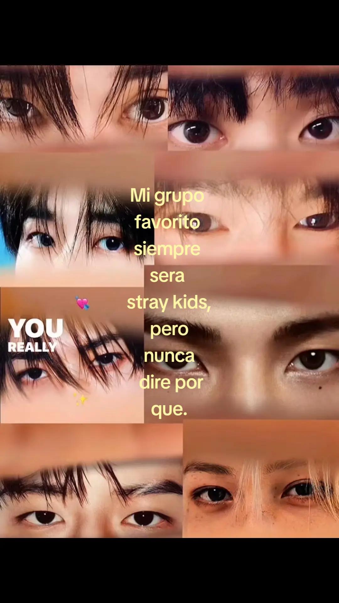 @bokke_stray kids