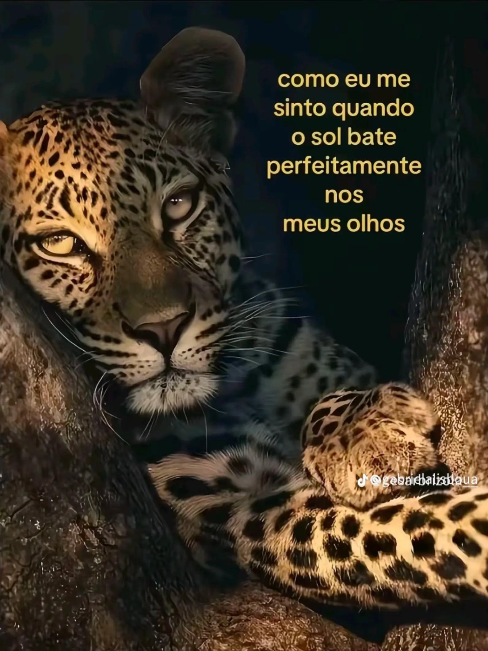 @Scarlett