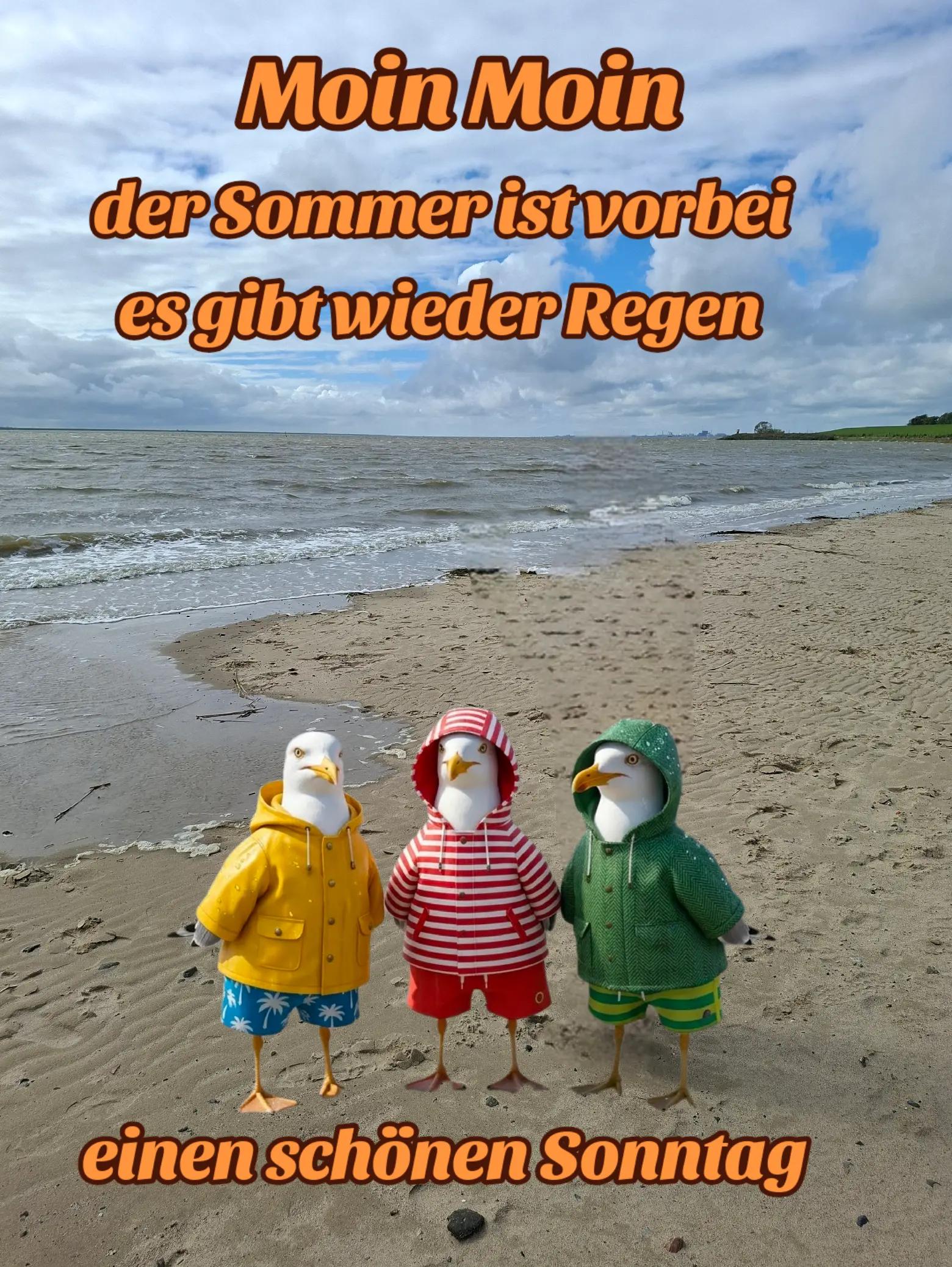 @geistlein12