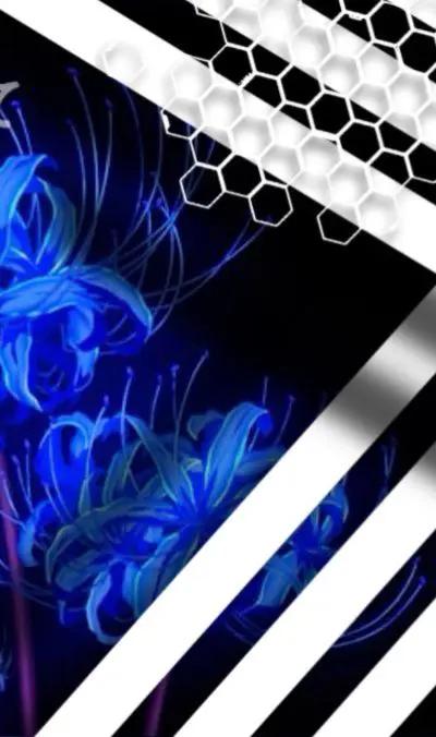 @꧁✦&alpha;l&iacute;́&iacute;́!︴Ados࿏ver 💙🎼