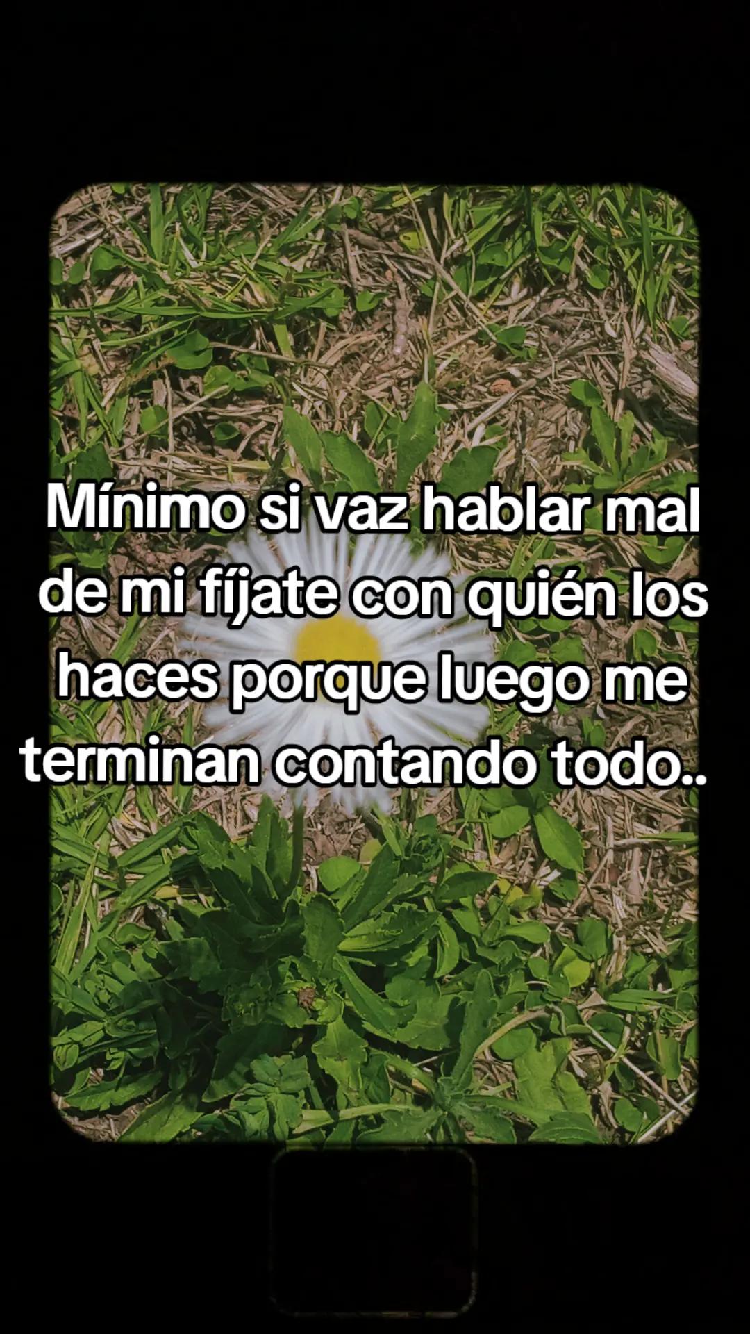 @Brenda Alonso