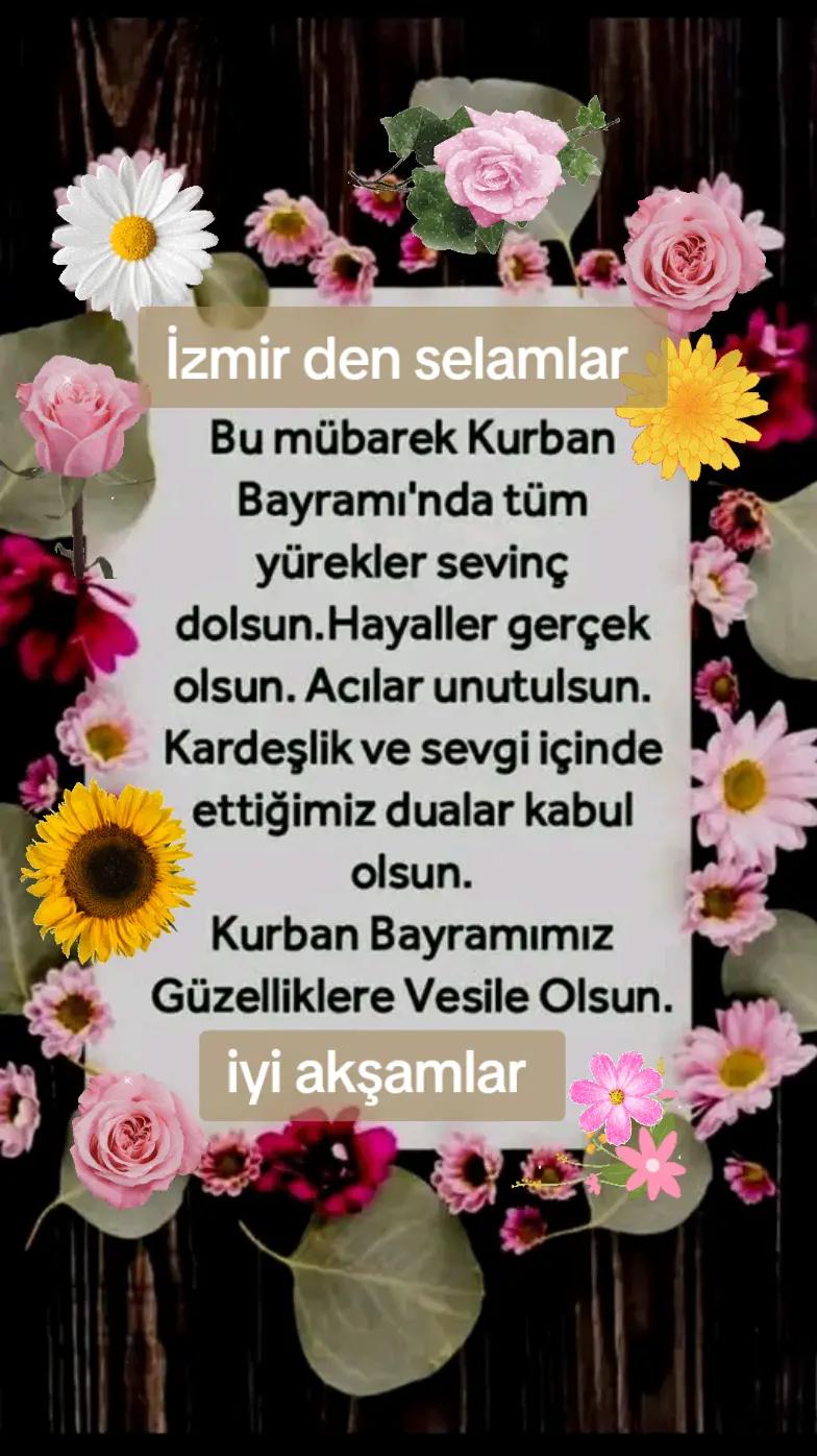 @🇹🇷Yasemin 01 35🇹🇷