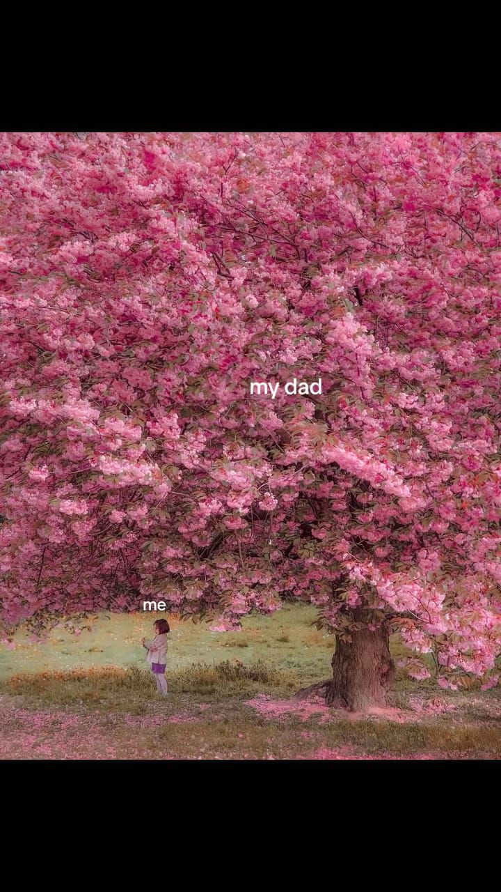 @Sophie.
