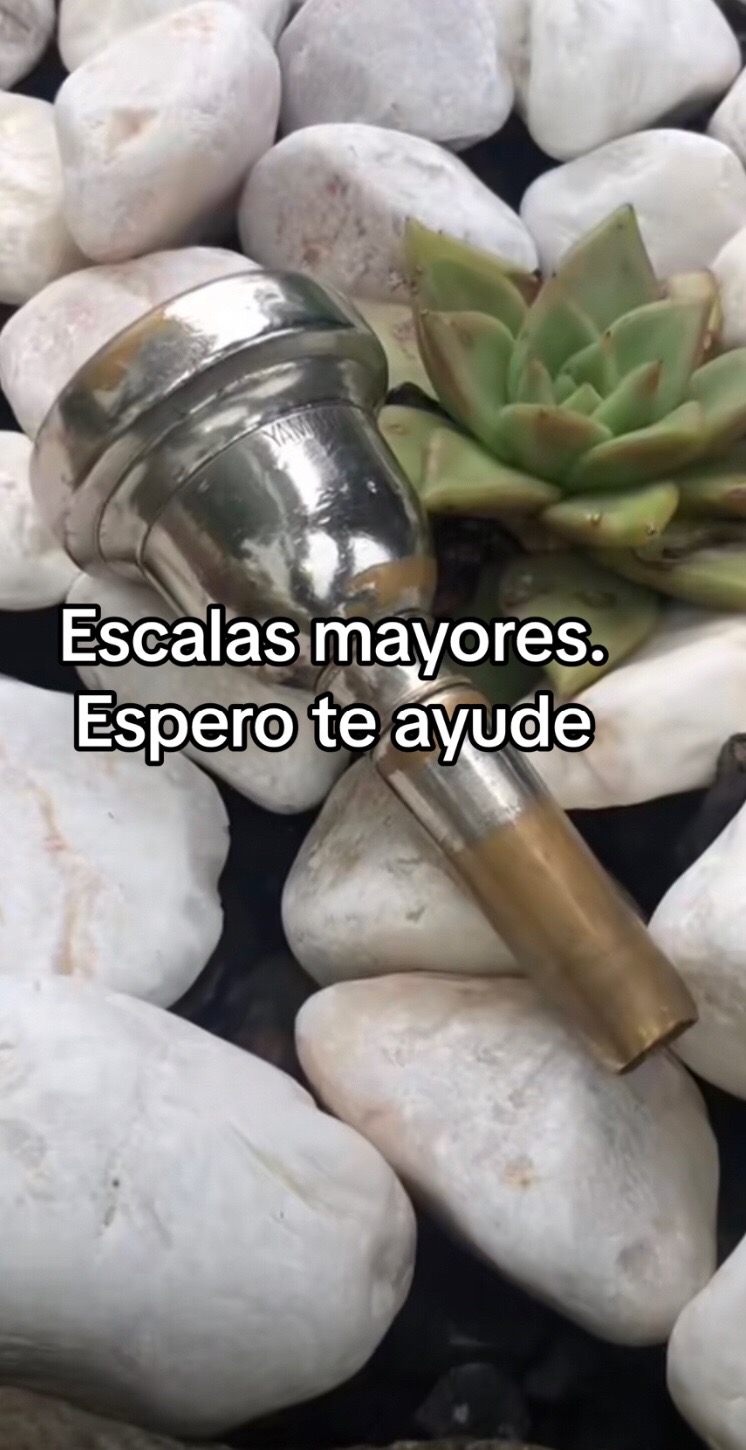 @Maestro_Tuba1