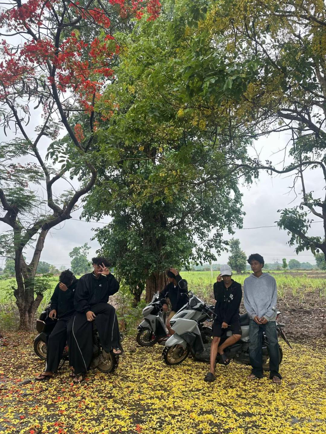 @မောင်ကောက်