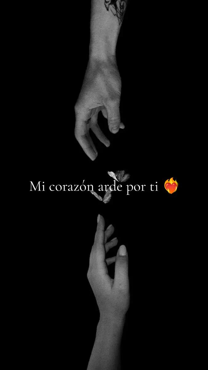 @edits_fanschile
