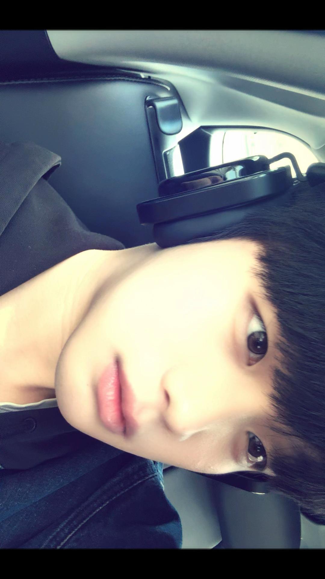 @고양이여덟마리키우는사람