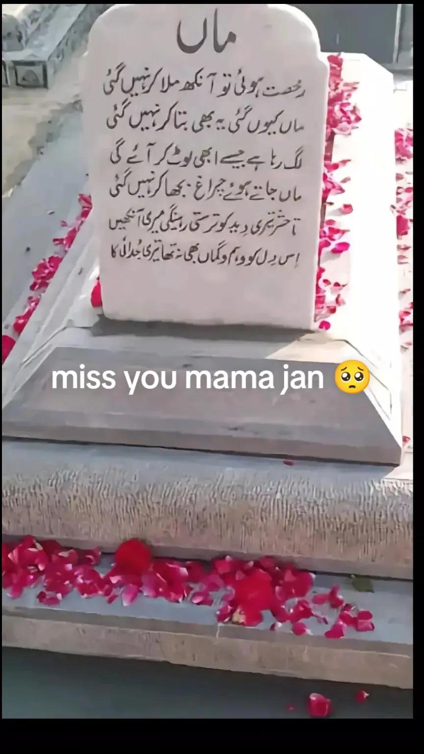 @hufzajani ❤️22