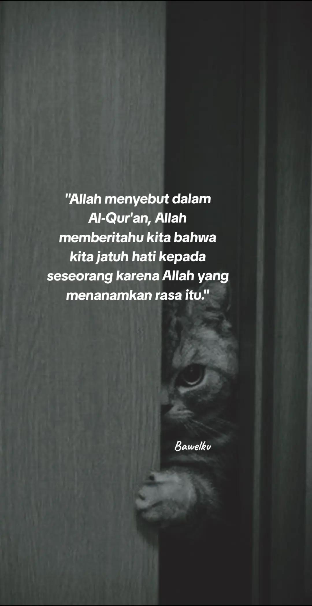 @Bawel_ku๐