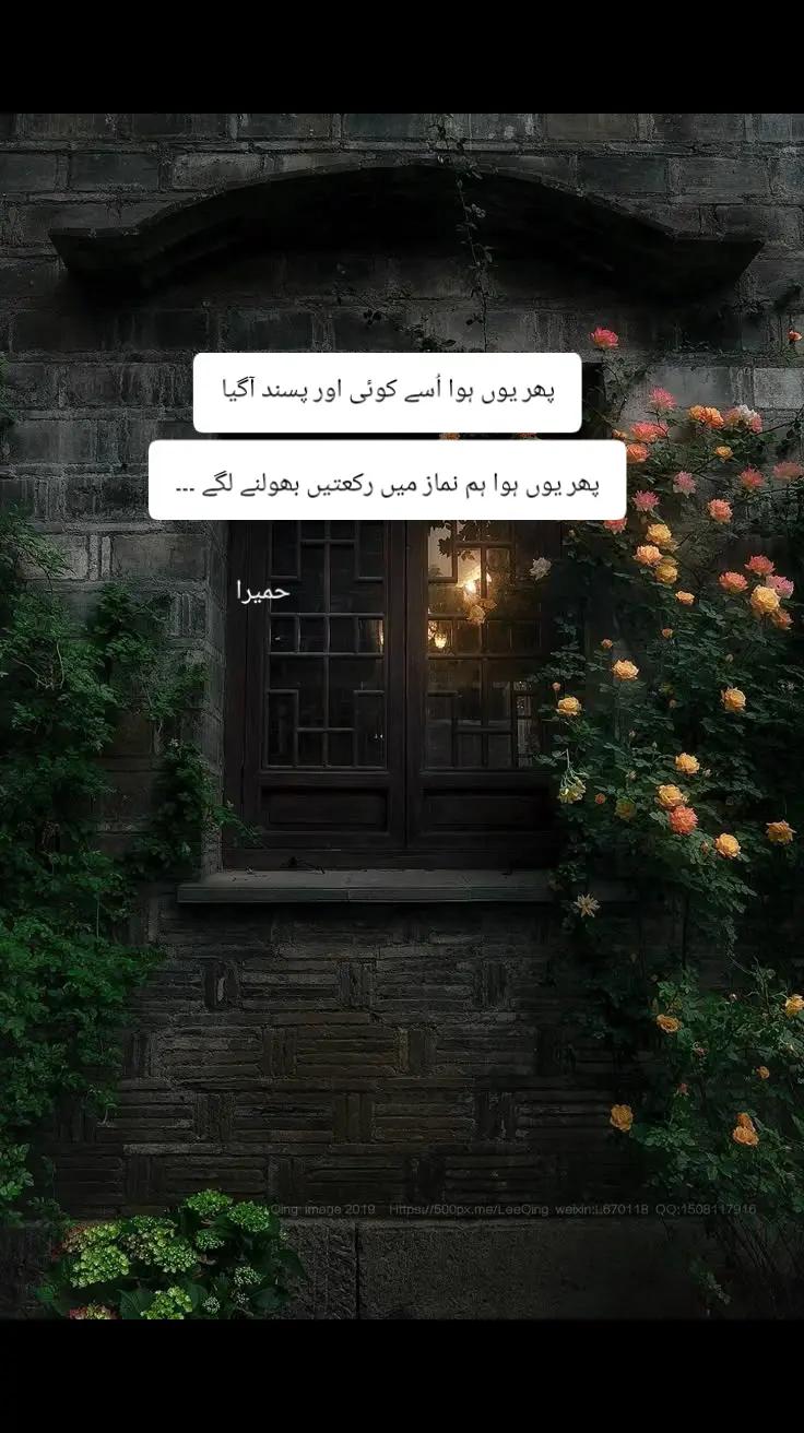 @@𝄟✮⃝humaira☆࿐:🦋⃟🦋⃟