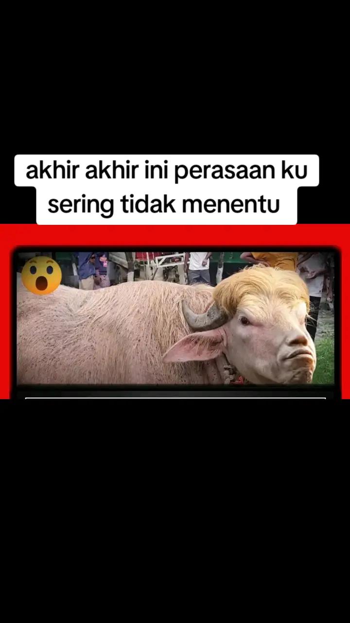 @witrriana&yans