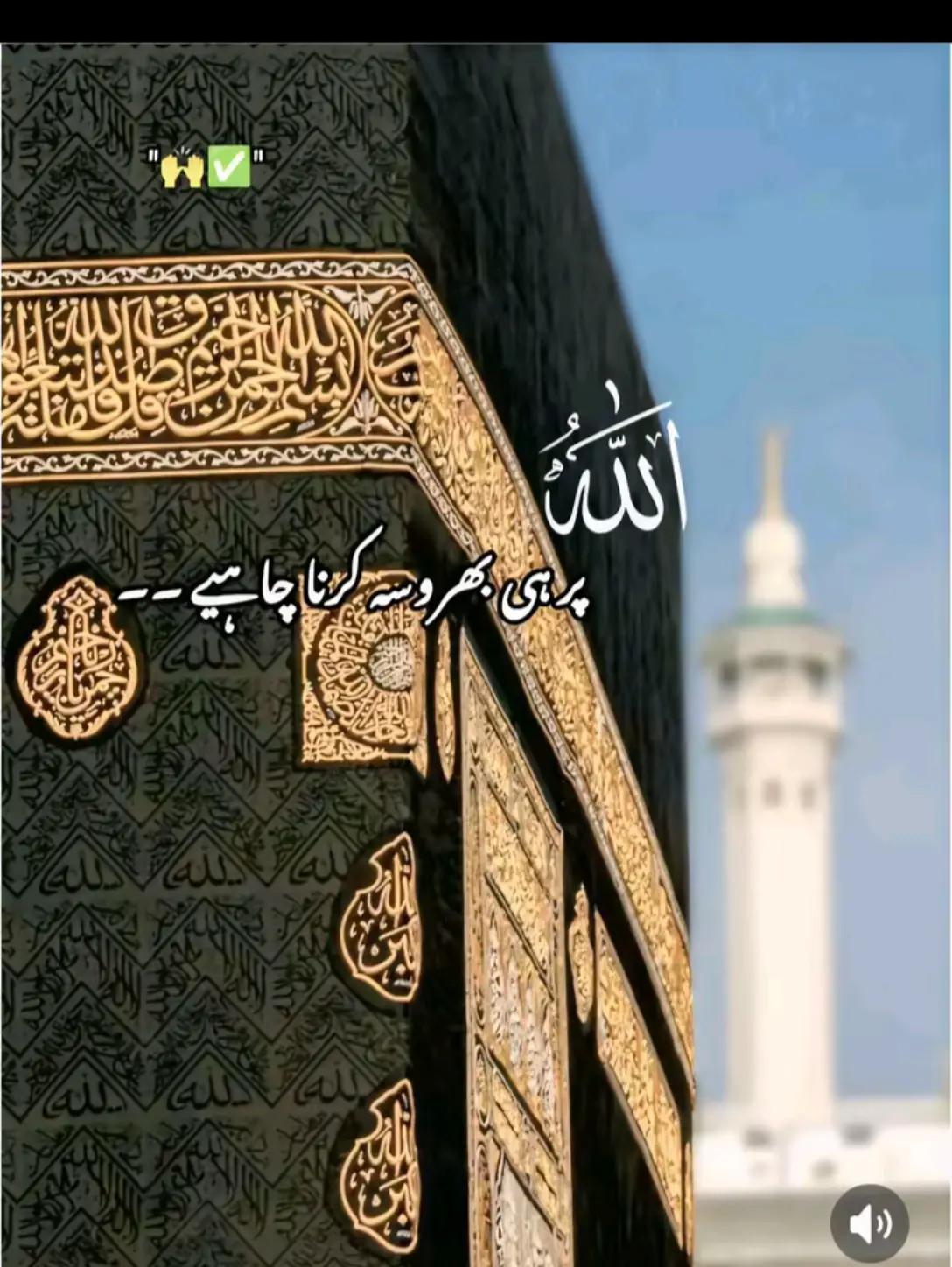 @arslan jani