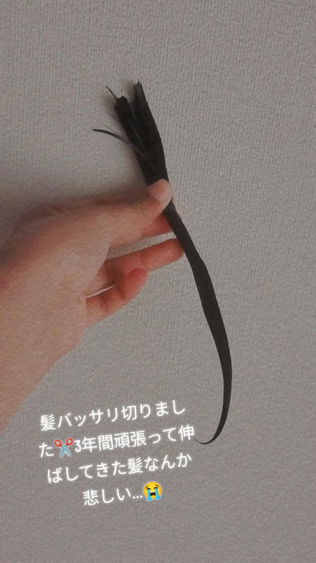 @erenaðð«¶ð¯ðµð§ð©