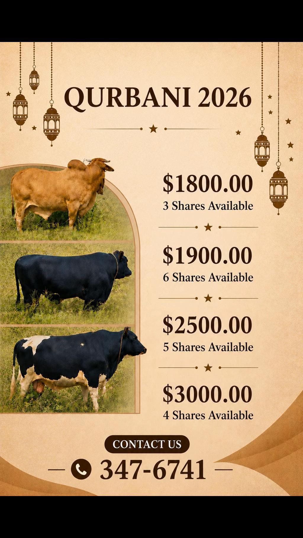 @S.Ali livestock‼️