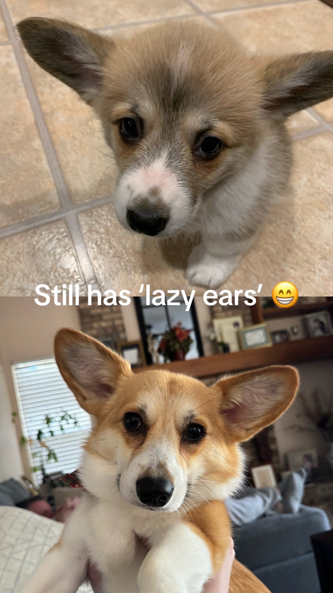@LoLaw11