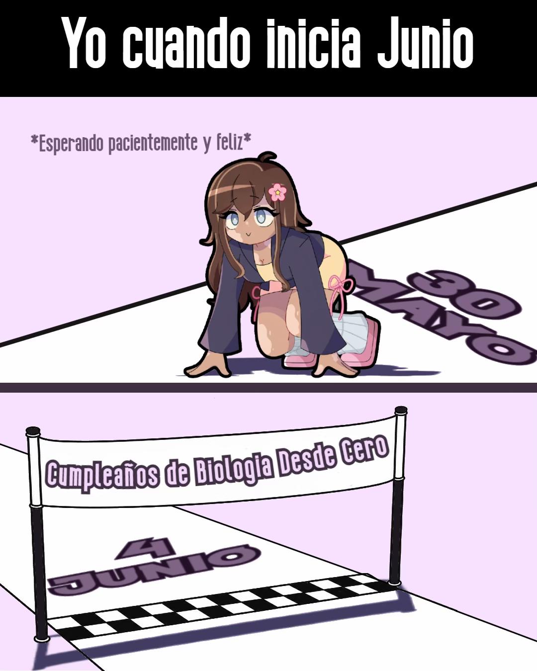 @Tortieza
