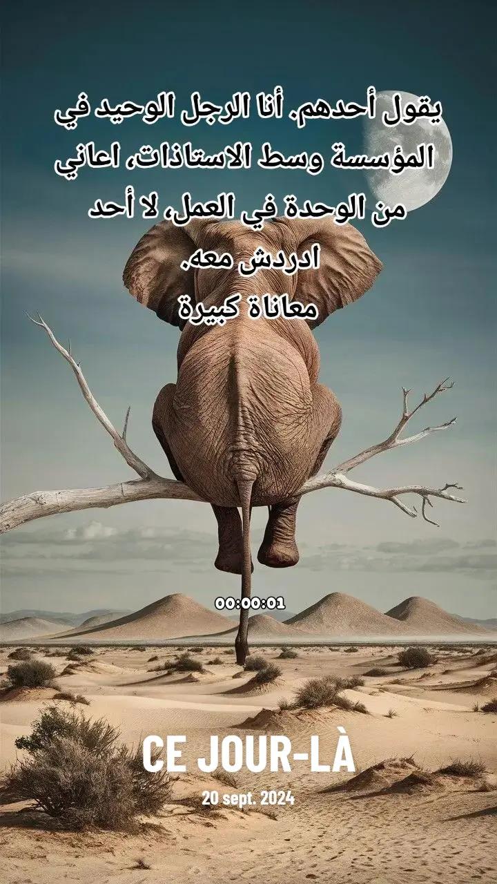 @00:00:01