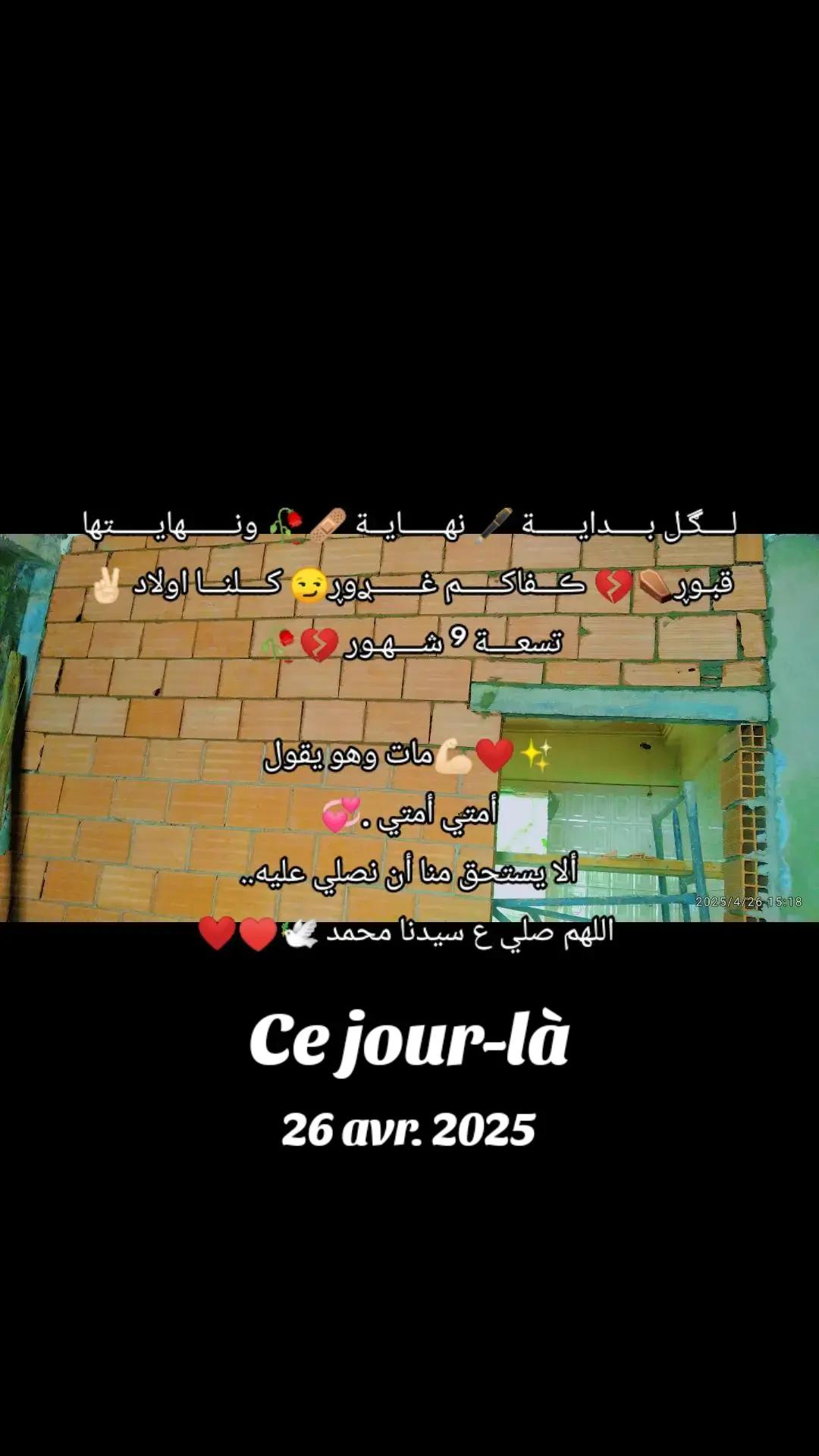 @عاشق لقطط😹