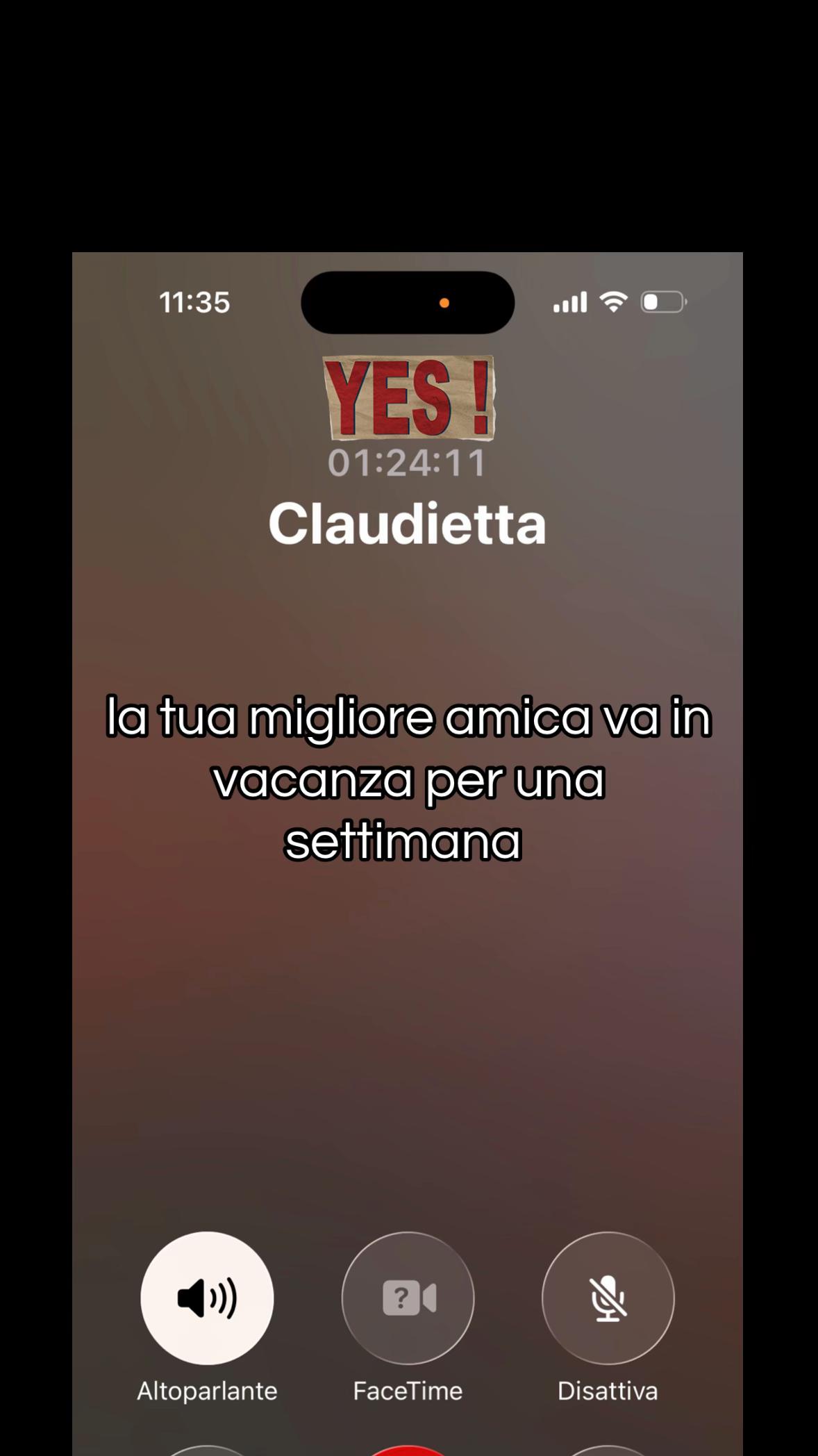@Nikita De Felice