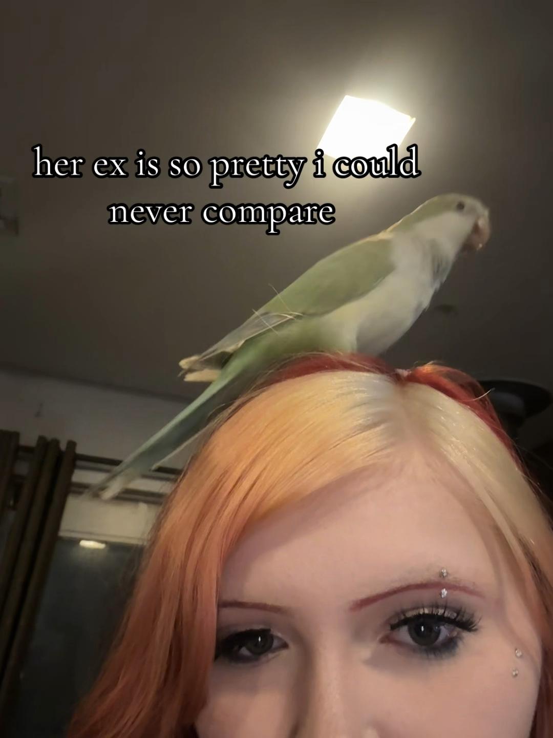 @ave
