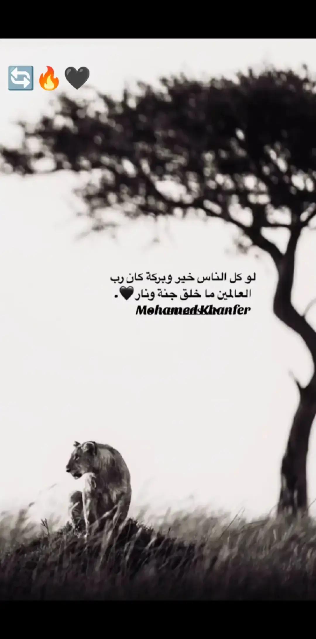 @كَريم | ١٤٢٩ ه 🖤."